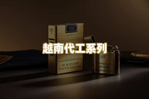 越南代工系列